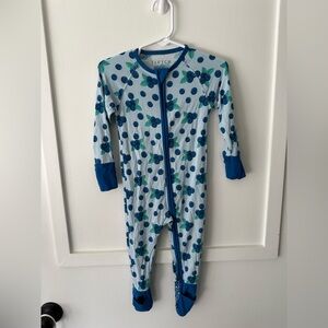 Fletch Brand Blueberry Zippy